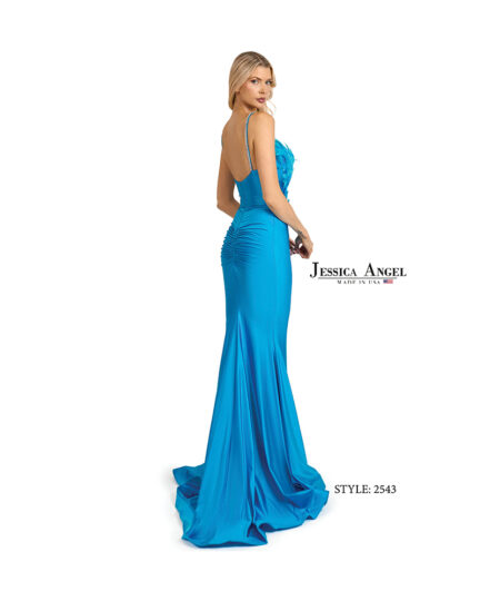 Style JA2543